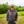 raisedNH New Hampshire State Badge Pullover Hoodie