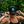 raisedVT Vermont State Badge Trucker Hat